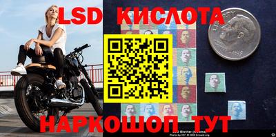 apvp Будённовск