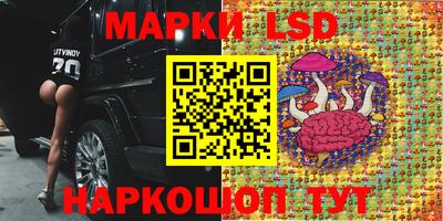 apvp Будённовск